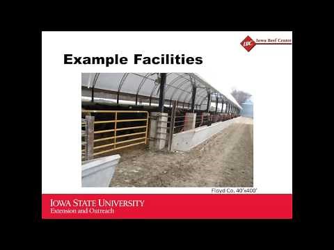Examples of hoop buildings for finishing cattle