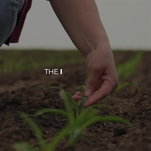 Cultivating Sustainability in North Lebanon 💧 Reviving unused land, supporting local farmers, and promoting smart farming through our water-wise agriculture project: ✅ Enabled water access for 85 agricultural lands ✅ Implemented effective water management practices ✅ Fostered sustainable community growth The success of this project is attributed to the Slovak Agency for International Development Cooperation @clovekvohrozeni, People In Need Slovakia, People in Need Lebanon, Fair Trade Lebanon an