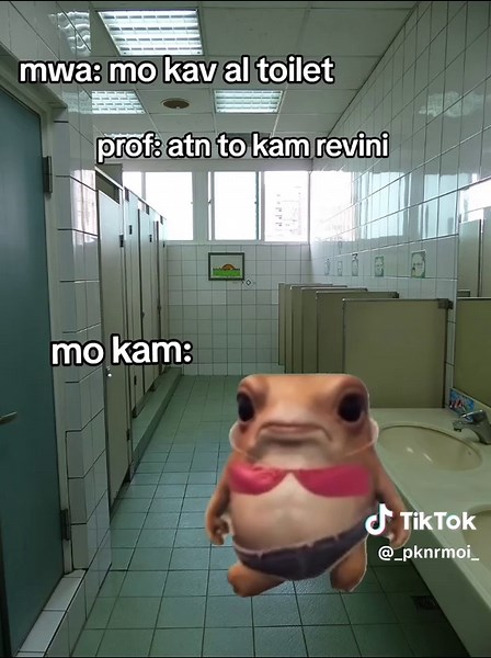 Understanding Toilet Humor in Memes: A Fun Perspective