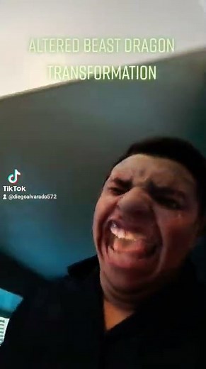 altered beast Dragon transformation