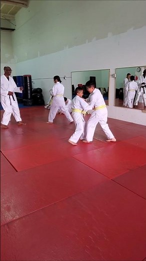 Karate Sparring