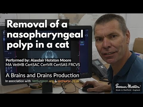Veterinary Surgery Demo: Removal of nasopharyngeal polyp in a cat