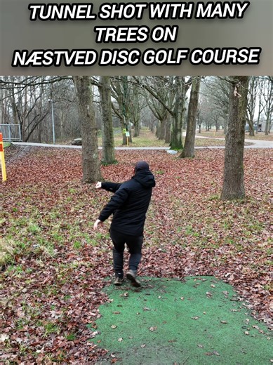 tunnel shot with many trees on næstved disc golf course #discgolf #discgolfdanmark #discgolflife #dronevideo #sport