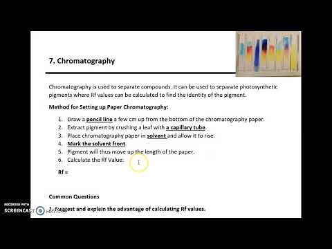 AQA A LEVEL BIOLOGY REQUIRED PRACTICAL 7: CHROMATOGRAPHY
