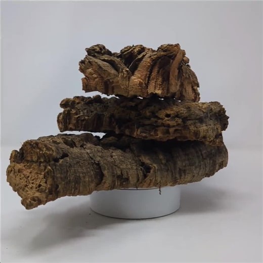 Natural Cork Bark Flats: Orchid, Reptile & Terrarium Decor - Eco-friendly - Etsy