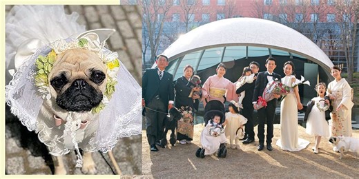 おしゃれなペット婚ならここ！ 愛犬家花嫁が惚れた会場4選