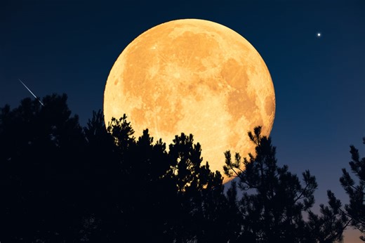 La “rara” luna llena de octubre será la primera superluna de 2025
