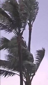 Hawaii hit by flooding as Hurricane Lowell gets closer