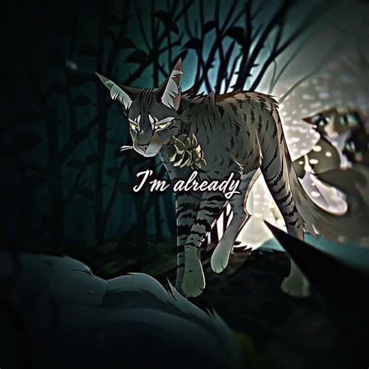 Leafpool x Crowfeather •Fairytale slowled• {NO TEMPLETE} //#edit// //#love// //#warriorcats//