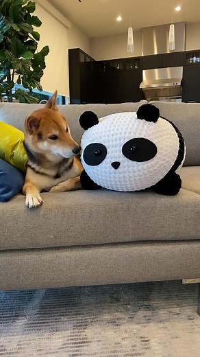 One of the most fun projects I’ve done in awhile 🐼 Pattern by @Amy ❤️ #crochettok #amigurumi #panda #pandaplushie #fyp #asitwas #crochet #yarntok
