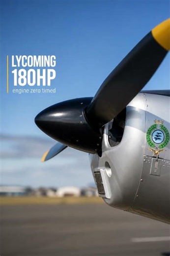 1952 de Havilland DHC-1-22 Supermunk For Sale | Low Time Since Restoration