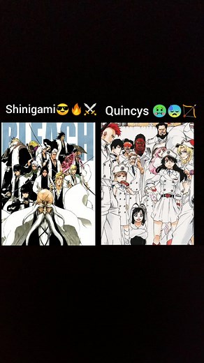 Shinigami Comeback in Bleach: Quincy Battle