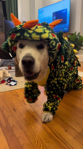 Adorable Golden Retriever Dinosaur Costume for Halloween