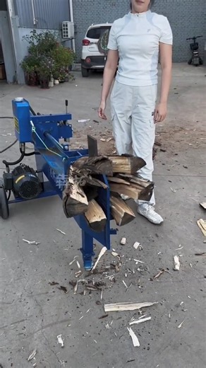 🔥 This Powerful Electric Wood Splitter Splits Logs Into 6 Pieces at Once😱🪵⚡ #Shorts