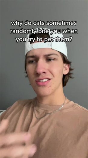 one of the wonders of the world