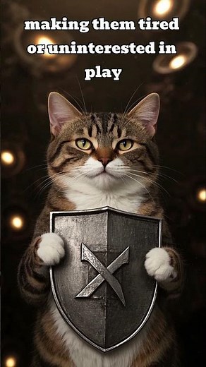 FIV in Cats: 5 Symptoms You NEED to Know!