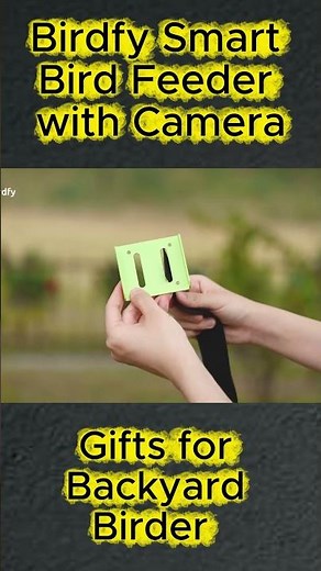 Birdfy Smart Bird Feeder with Camera