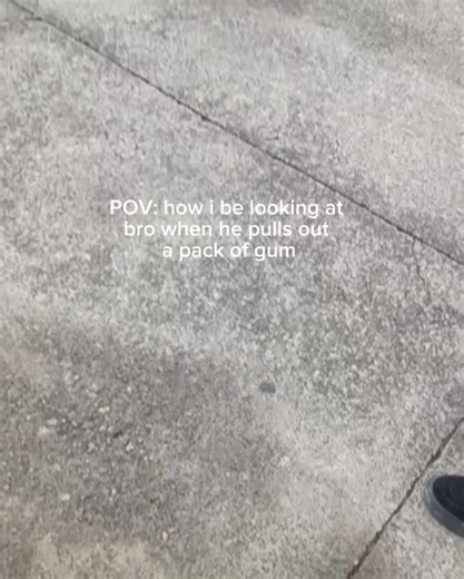 Cute Dog TikTok Compilation | Funny Dog Videos