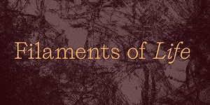 MA Biodesign - UAL Showcase