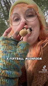 14K views · 1K reactions | Let’s learn how to identify puffball mushrooms #puffballmushroom #puffball #mushroom #mushroomsafety #mushroomidentification #mushroomid #fungi #whichbetty #mushroomlady #ediblemushrooms #forager #foragers #foraging #foraginguk #forage #foodsecurity #survivalskills | Elizabeth Burdock | Facebook