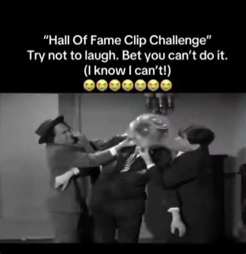 #threestooges #comedy #funny #slapstick #1940s #epic #moelarryshemp