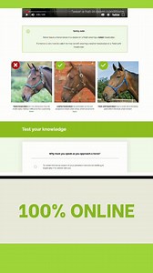 Enhance your knowledge from home with our online Basic Stable...