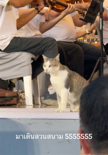 จังหวะตลกใน Concert in the Park No. 33