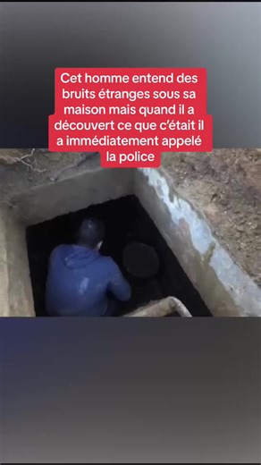 Bruits étranges sous la maison : la découverte choquante