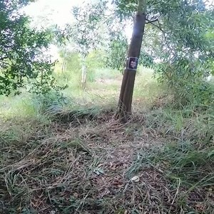 Parkour POV vs Crazy chucky Crazy game . Group discus: Parkour is my life | Parkour Ads