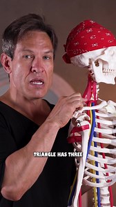 Have you ever felt numbness, pain or muscle weakness down your arm? The scalene muscles are super sensitive, they feel stringy and tight and they don't get much attention. You may have heard of thoracic outlet syndrome - the scalenes contribute to this issue when they compress on the nerves. | Melt: Massage for Couples