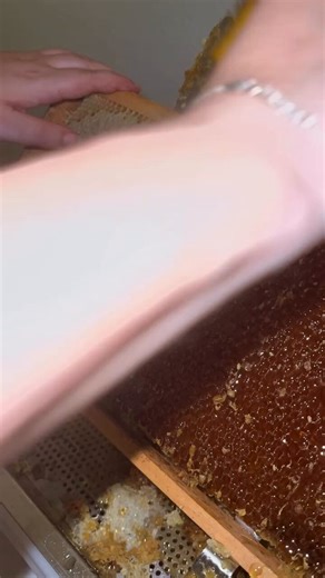 They're using a honey comb to comb the honey comb.