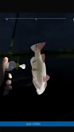 Fishing planet Ghost Peacock Bass