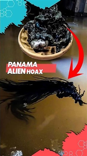 Meteorite Ooze Mystery Explained | Meteorite in Panama #shorts #meteorite #mexico