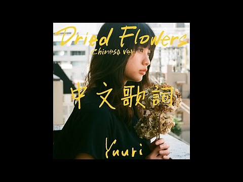 【中文歌詞】優里『ドライフラワー』Chinese Version 中文版 ( 乾燥花 )