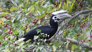 25 Odd Creatures That Really Do Live On This Planet