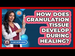 How Does Granulation Tissue Develop During Healing?