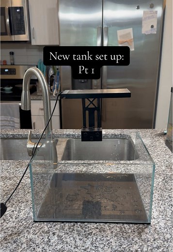 Betta Fish Tank Aquascape: A Timelapse Journey