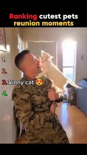 Your Cat Finally Sees You After a Long Time 🥺 #shorts #cutecat #usa