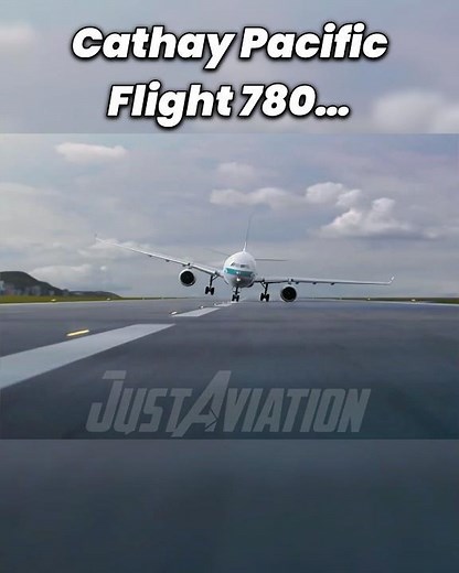 "It's just a normal Minions flight, right?"😒