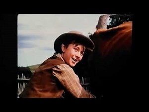 Opening To Disney Classics Collection Bad Ol' Putty Tat Special Limited Edition VHS 2004, Australia