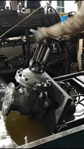 Prcvalve2023 on TikTok