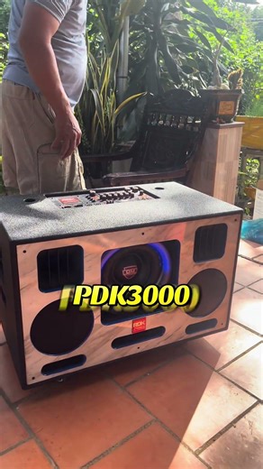 Portable speaker with 2 x 20cm bass drivers and 25cm subwoofer, PDK3000 circuit.
