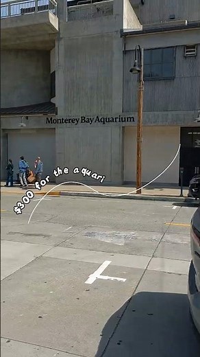 Monterey Bay Aquarium… $300 Later, Was It Worth It? 🐠📝