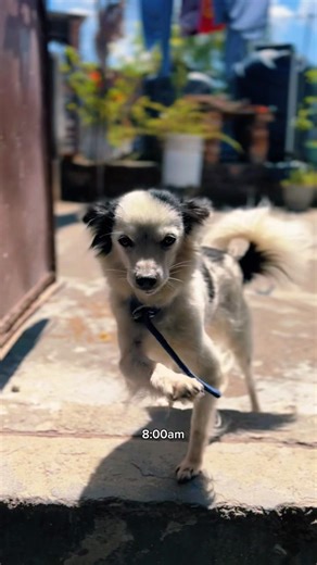 “Daily life of introvert “ep24✨📈