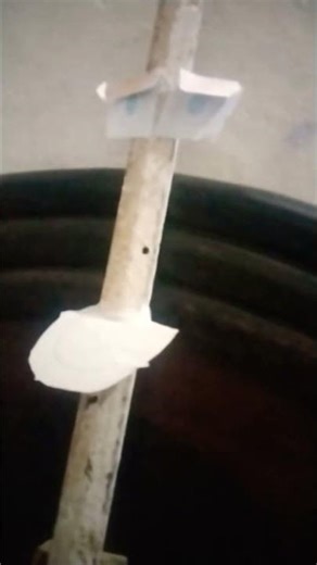 Billy bob homemade animatronic sings Swingin'