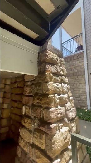 Large beehive found inside exterior wall of a house