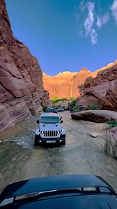 1.1K views · 136 reactions | Wadi Al-Hasa, known in the Hebrew Bible...