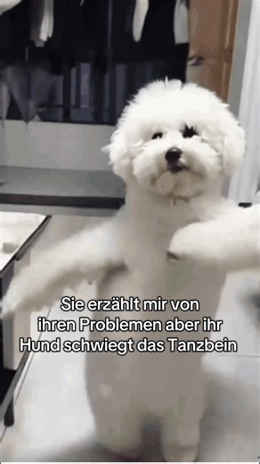 #lustig #gönndochfyduhs🤨💘 #humor #fyp