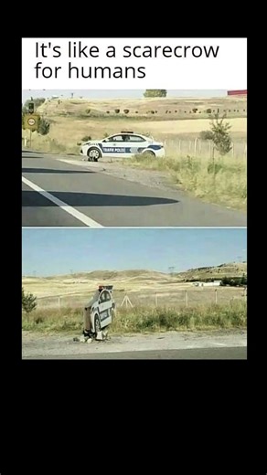 scarecrow humor vibes | Subscribe for more #motivation 😊👍