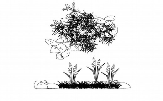 Grass And Stones - Free CAD Drawings